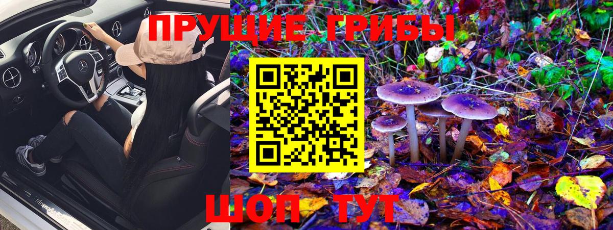 Псилоцибиновые грибы MAGIC MUSHROOMS Железногорск