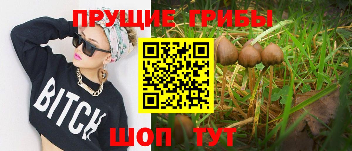 Галлюциногенные грибы прущие грибы  купить наркотик  Железногорск  Вход с VPN 